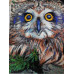 Diamond embroidery (set) Owl