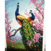 Diamond embroidery (set) Peacocks in sakura