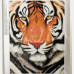 Diamond Embroidery (set) Tiger