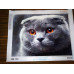 Diamond embroidery (set) Lop-eared cat