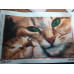 Diamond embroidery (set) Cat with kitten