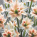 Diamond embroidery (set) Frozen radiance crystal amaryllis