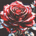 Diamond embroidery (set) Lightning Rose