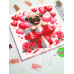 Diamond embroidery (set on a stretcher) Smile pug DMF-469