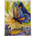 Diamond embroidery (set) Butterfly and flowers