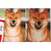 Custom Diamond Painting Kit
