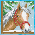 Diamond embroidery (set) horse