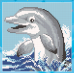 Diamond embroidery (set) dolphin